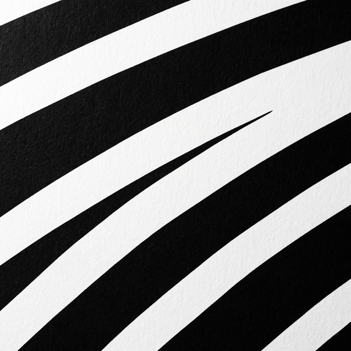 COUTURE | Reclining Minimalist Female Form Op Art | Luxury Multi-Print Wall Art | 1-Of-1