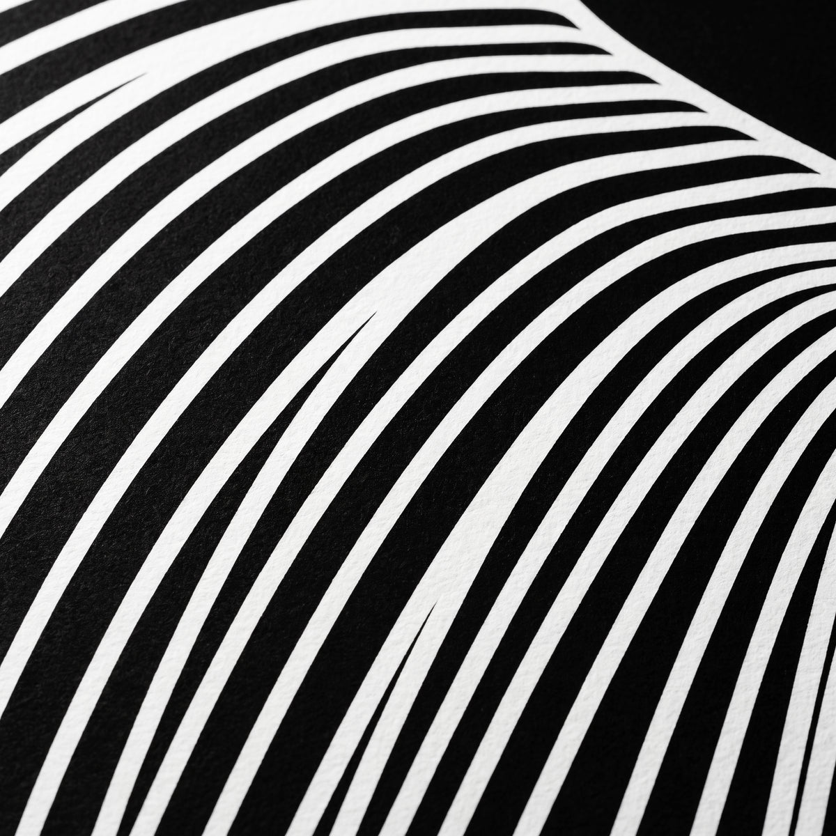 COUTURE | Reclining Minimalist Female Form Op Art | Luxury Multi-Print Wall Art | 1-Of-1