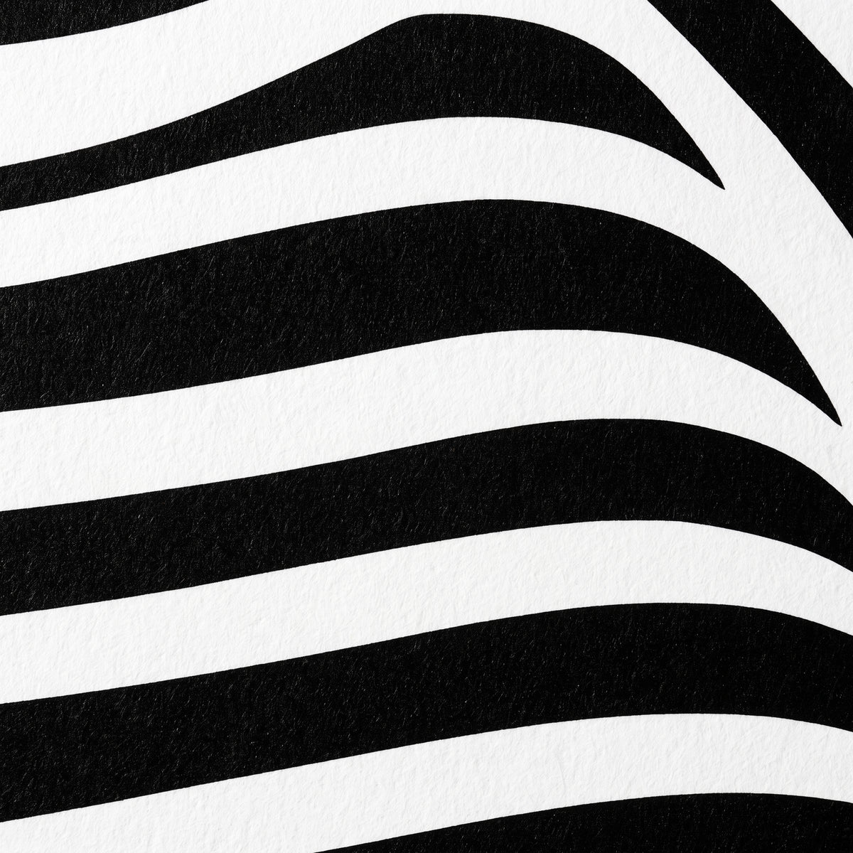 COUTURE | Reclining Minimalist Female Form Op Art | Luxury Multi-Print Wall Art | 1-Of-1