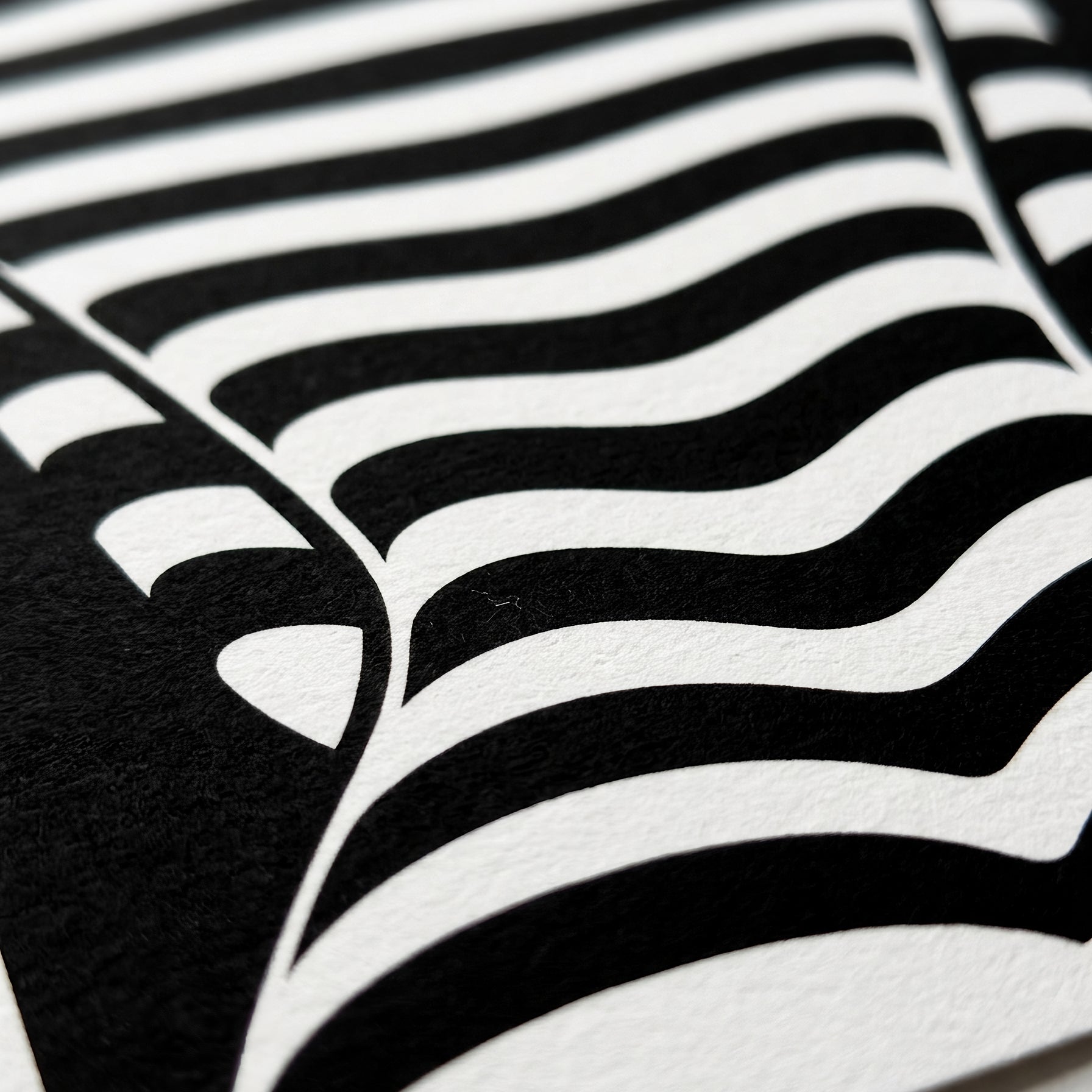 CURVES | Minimalist | Female Figure | B&W | 8K - 32K