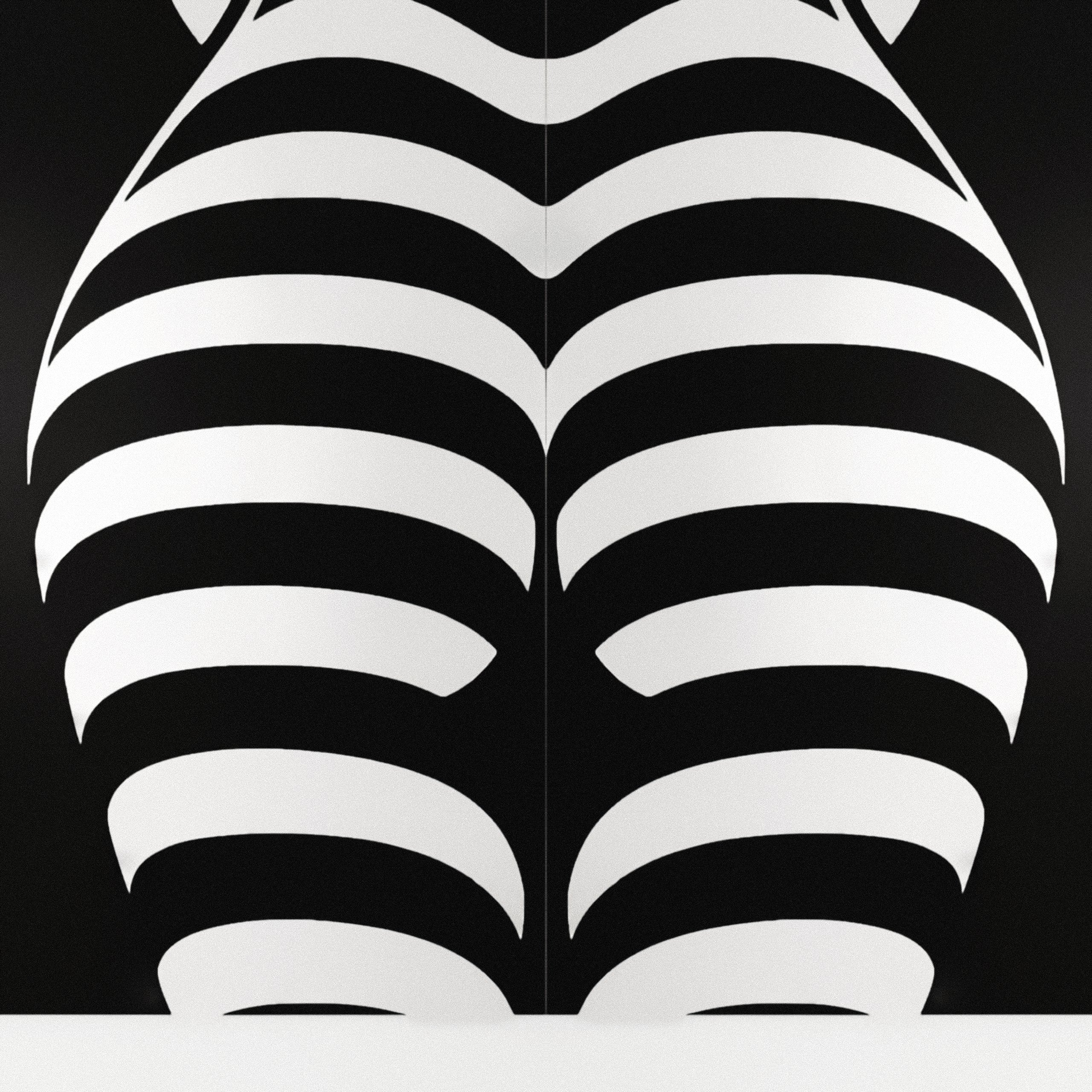 CURVES | Minimalist Female Silhouette Op Art | Multi-Print Luxury Wall Art
