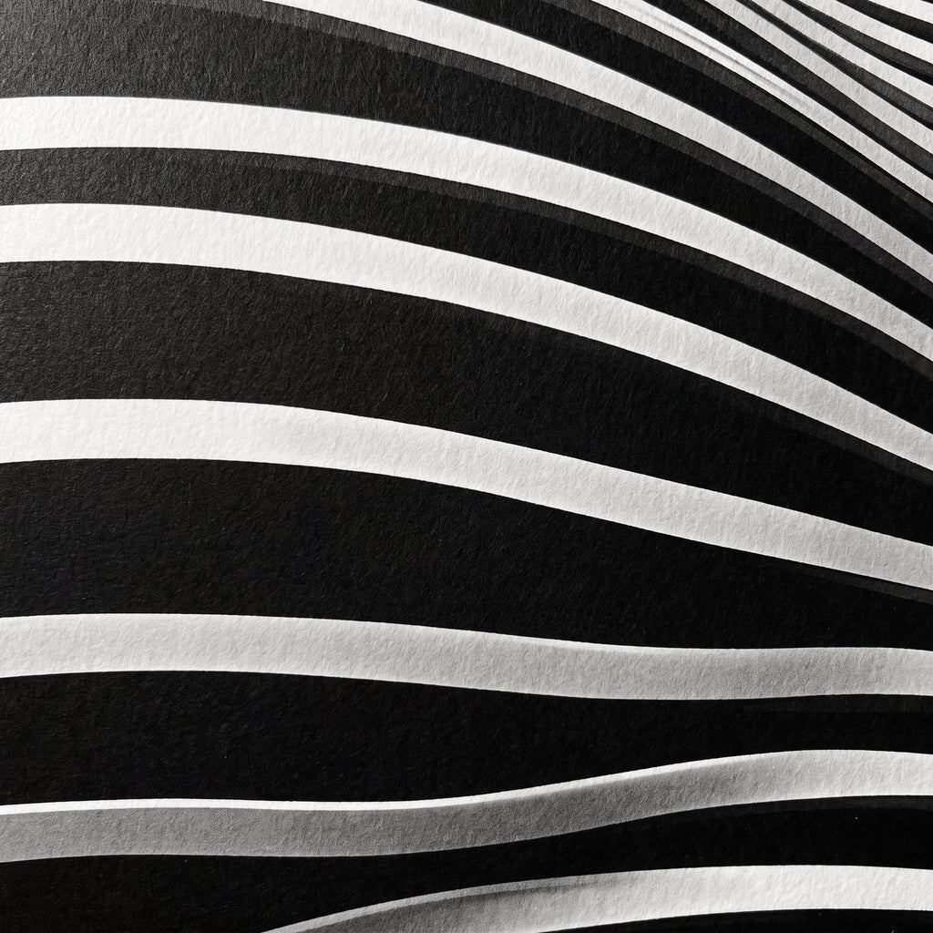 LOUNGE | Reclining Minimalist Female Silhouette Op Art | Luxury Multi-Print Wall Art | 1-Of-1