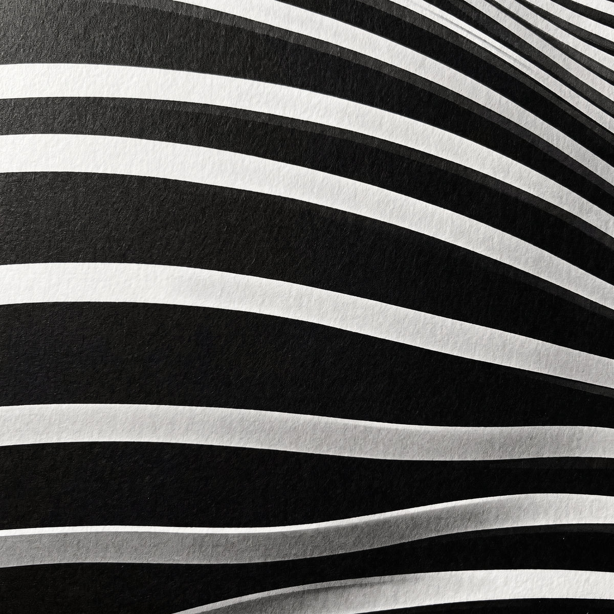 LOUNGE | Reclining Minimalist Female Silhouette Op Art | Luxury Multi-Print Wall Art | 1-Of-1