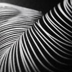 LOUNGE | Reclining Minimalist Female Silhouette Op Art | Luxury Multi-Print Wall Art | 1-Of-1