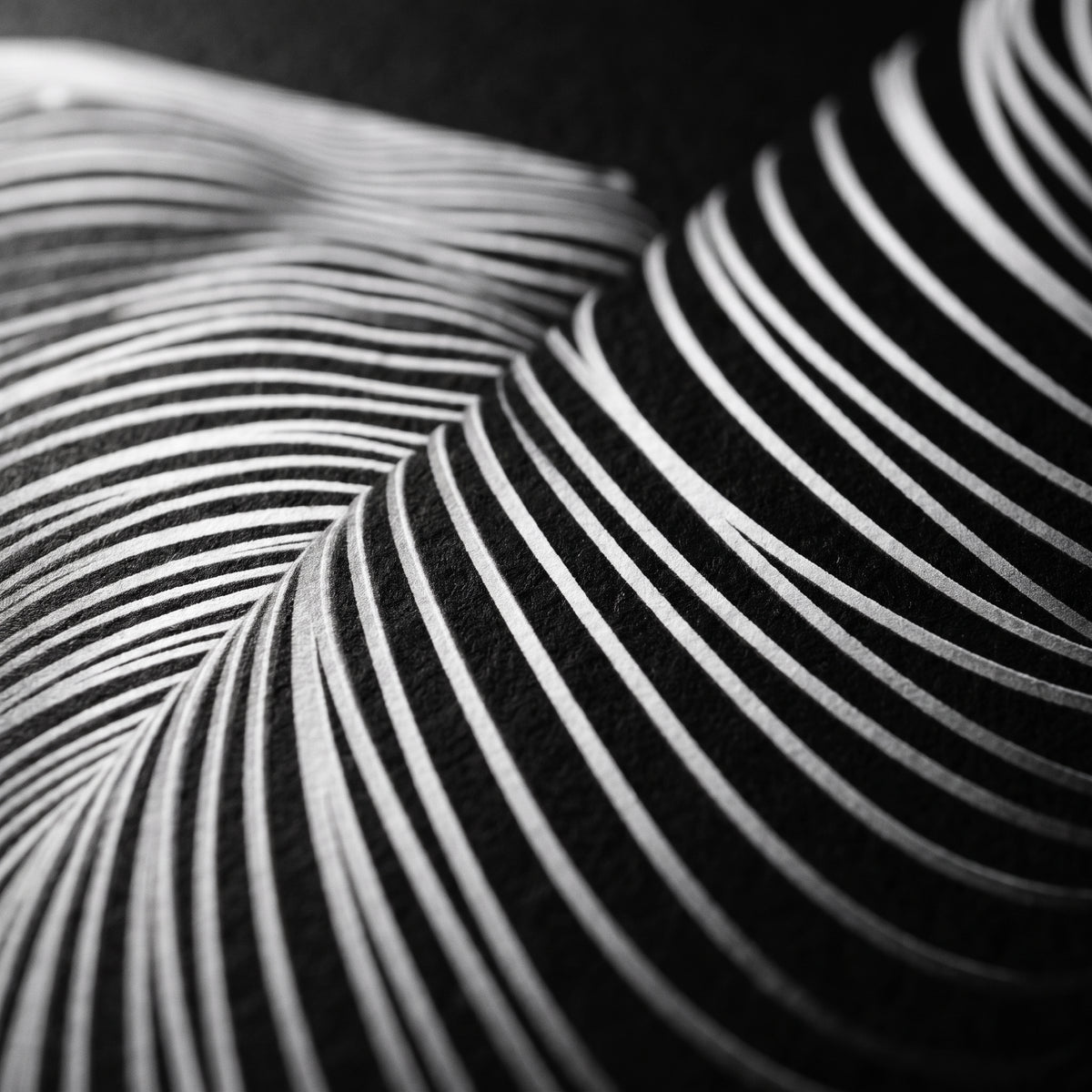LOUNGE | Reclining Minimalist Female Silhouette Op Art | Luxury Multi-Print Wall Art | 1-Of-1