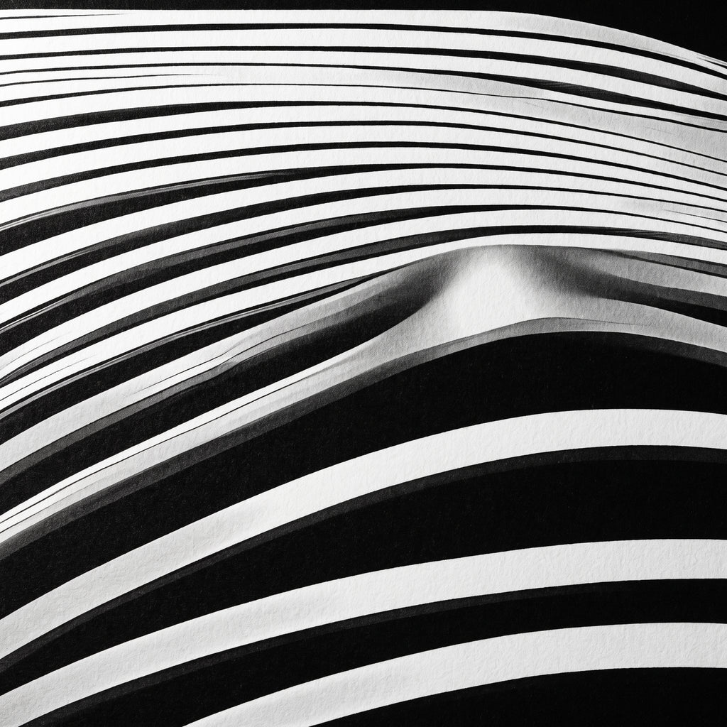 LOUNGE | Reclining Minimalist Female Silhouette Op Art | Luxury Multi-Print Wall Art | 1-Of-1