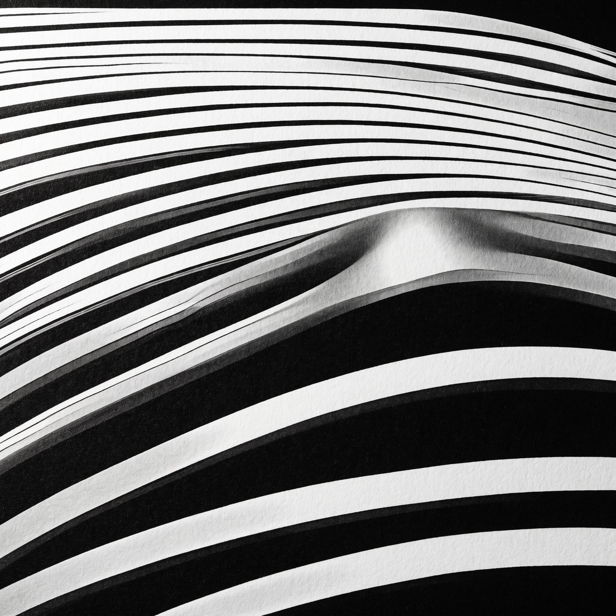 LOUNGE | Reclining Minimalist Female Silhouette Op Art | Luxury Multi-Print Wall Art | 1-Of-1