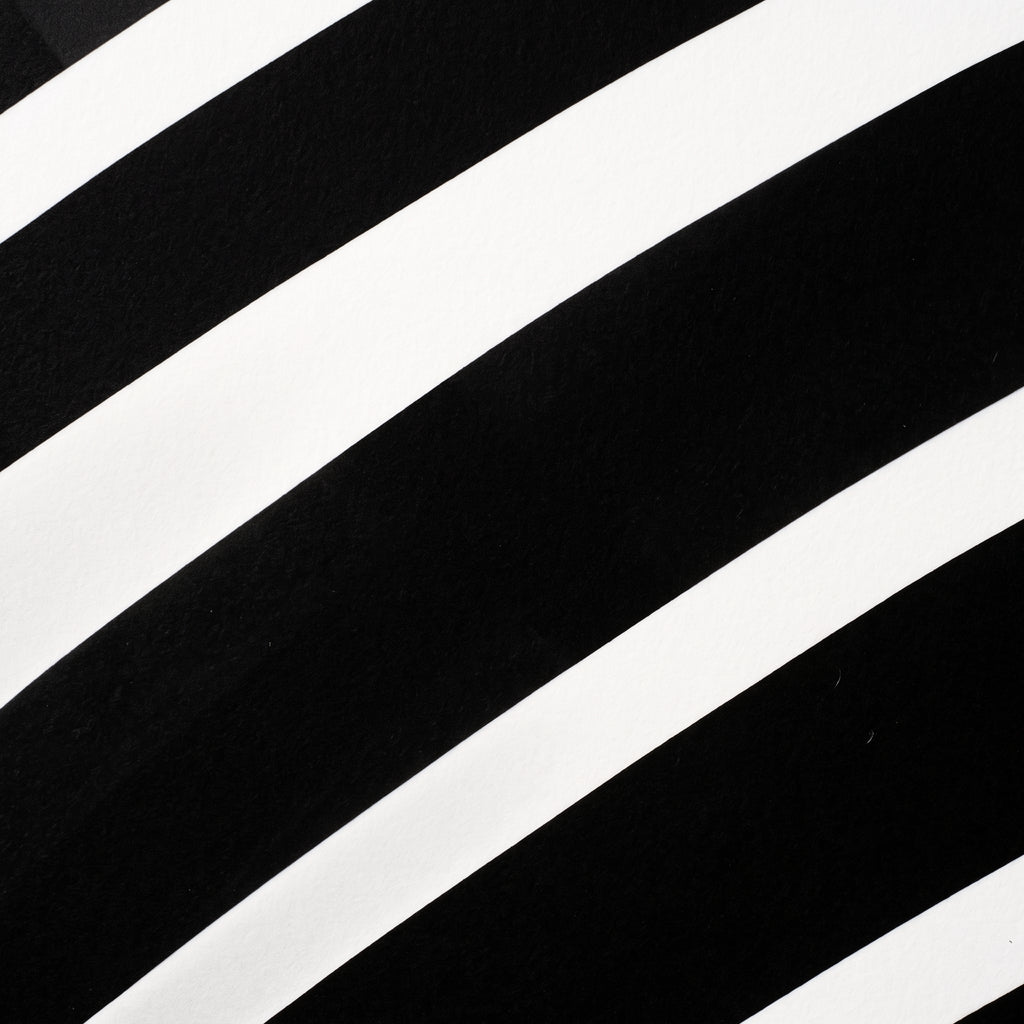 OLYMPIA | Hypnotic Reclined Female Op Art | Luxury Multi-Print Wall Art | 1-Of-1