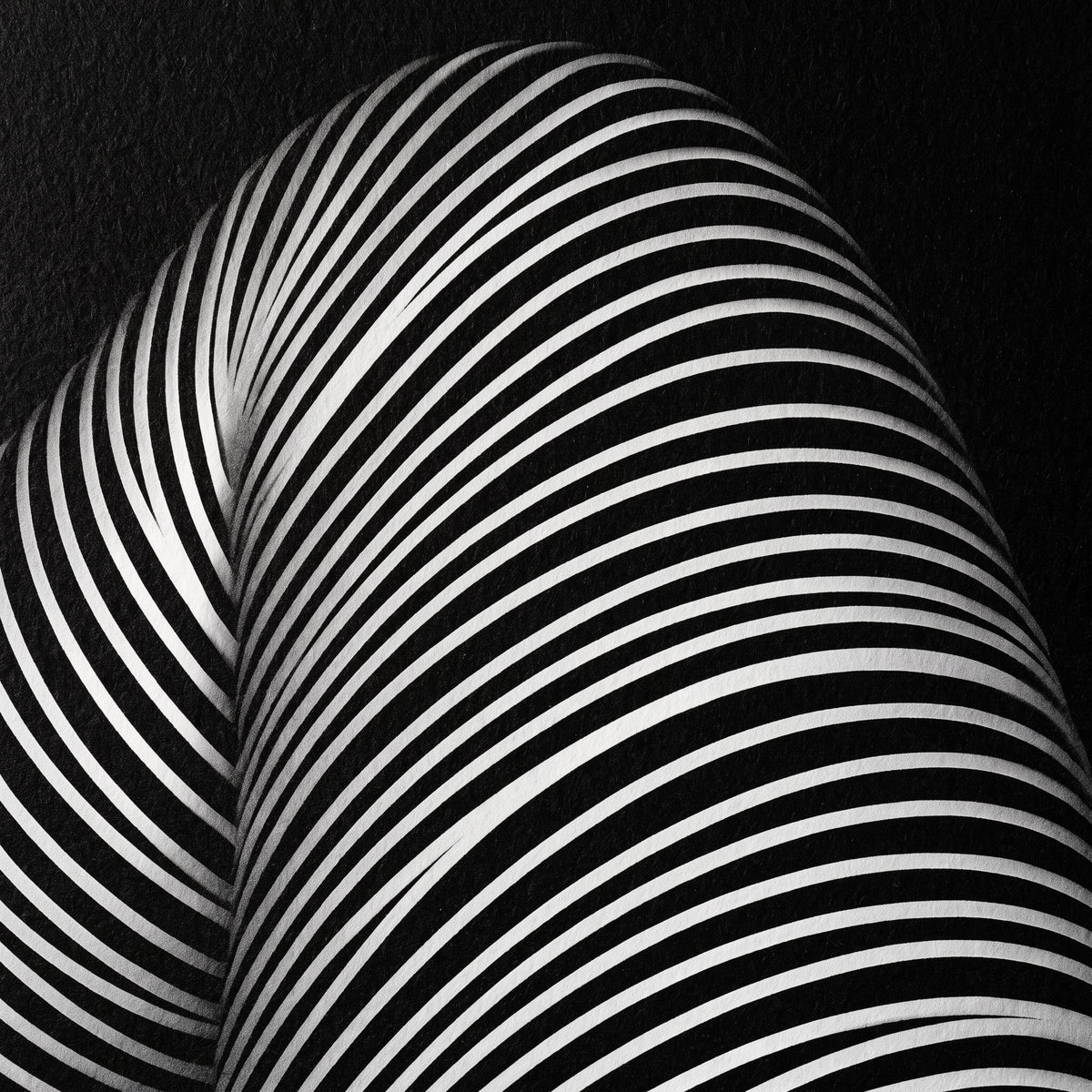 OLYMPIA | Hypnotic Reclined Female Op Art | Luxury Multi-Print Wall Art | 1-Of-1
