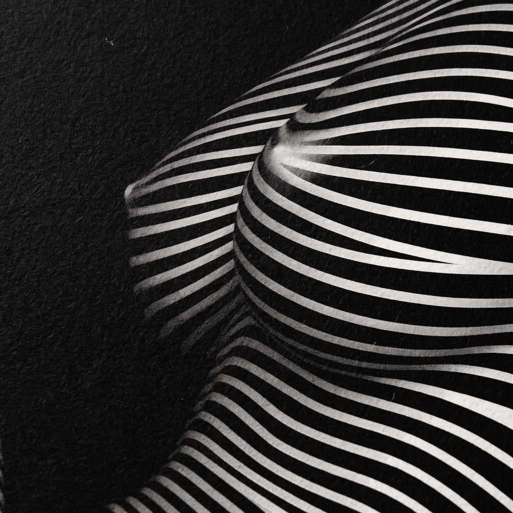 OLYMPIA | Hypnotic Reclined Female Op Art | Luxury Multi-Print Wall Art | 1-Of-1