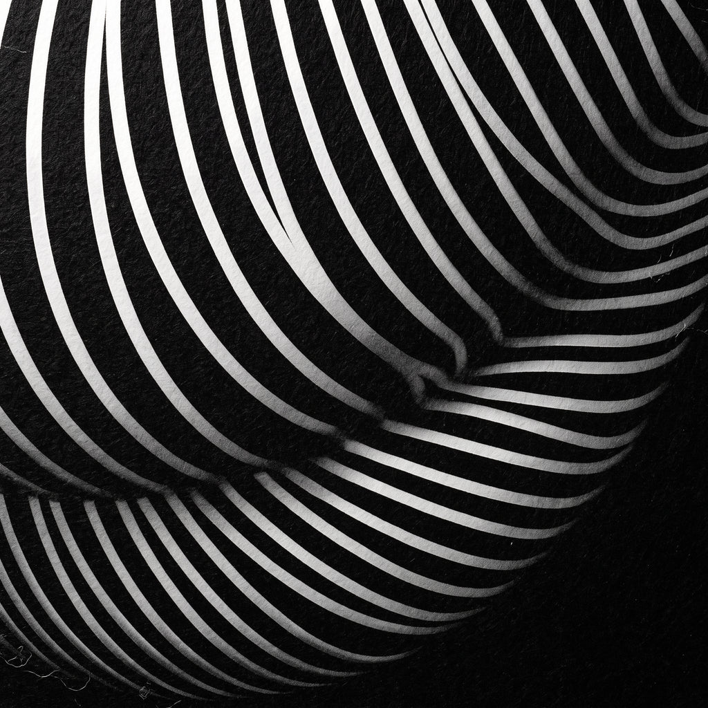 OLYMPIA | Hypnotic Reclined Female Op Art | Luxury Multi-Print Wall Art | 1-Of-1