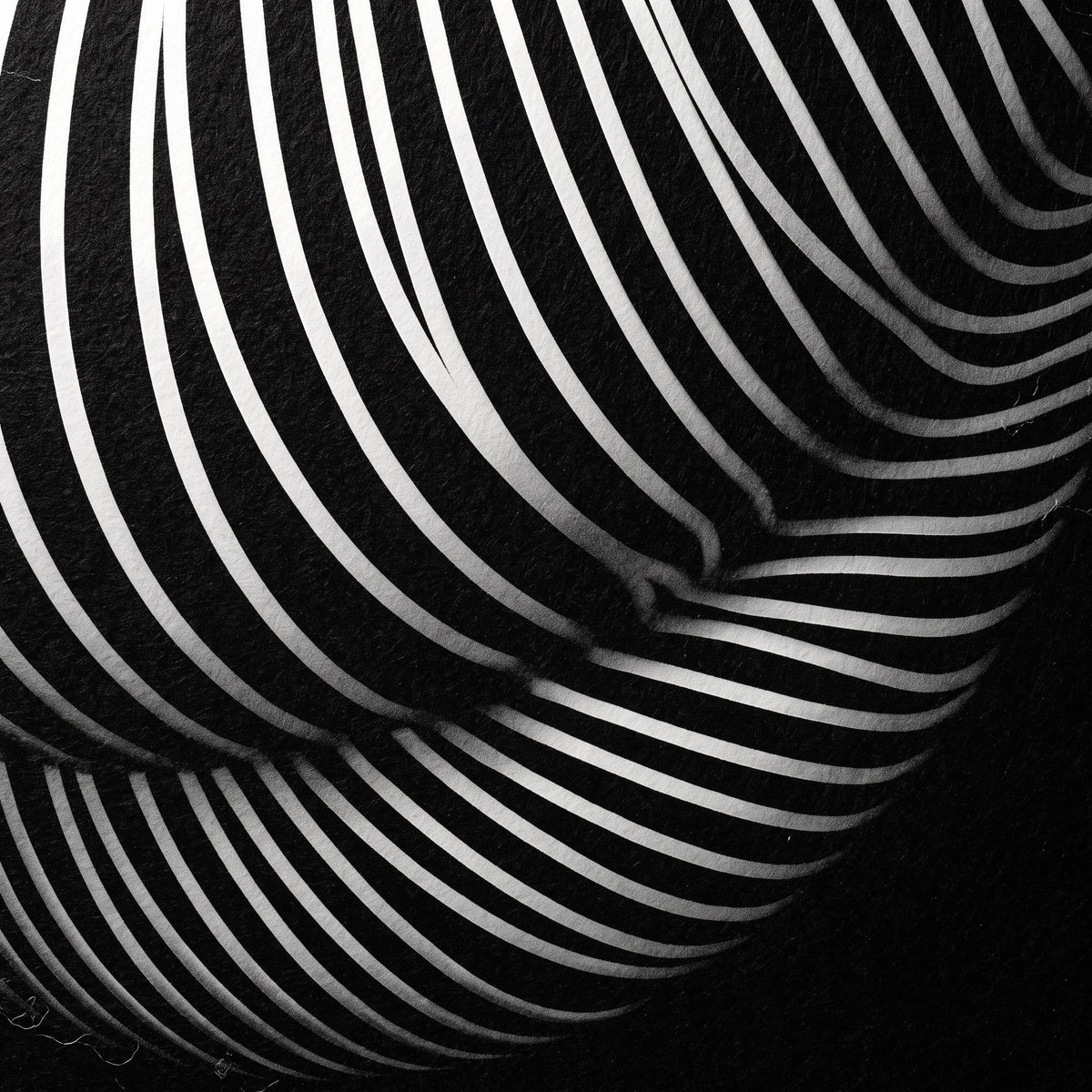 OLYMPIA | Hypnotic Reclined Female Op Art | Luxury Multi-Print Wall Art | 1-Of-1