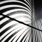 OLYMPIA | Hypnotic Reclined Female Op Art | Luxury Multi-Print Wall Art | 1-Of-1