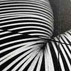 OLYMPIA | Hypnotic Reclined Female Op Art | Luxury Multi-Print Wall Art | 1-Of-1