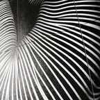 OLYMPIA | Hypnotic Reclined Female Op Art | Luxury Multi-Print Wall Art | 1-Of-1