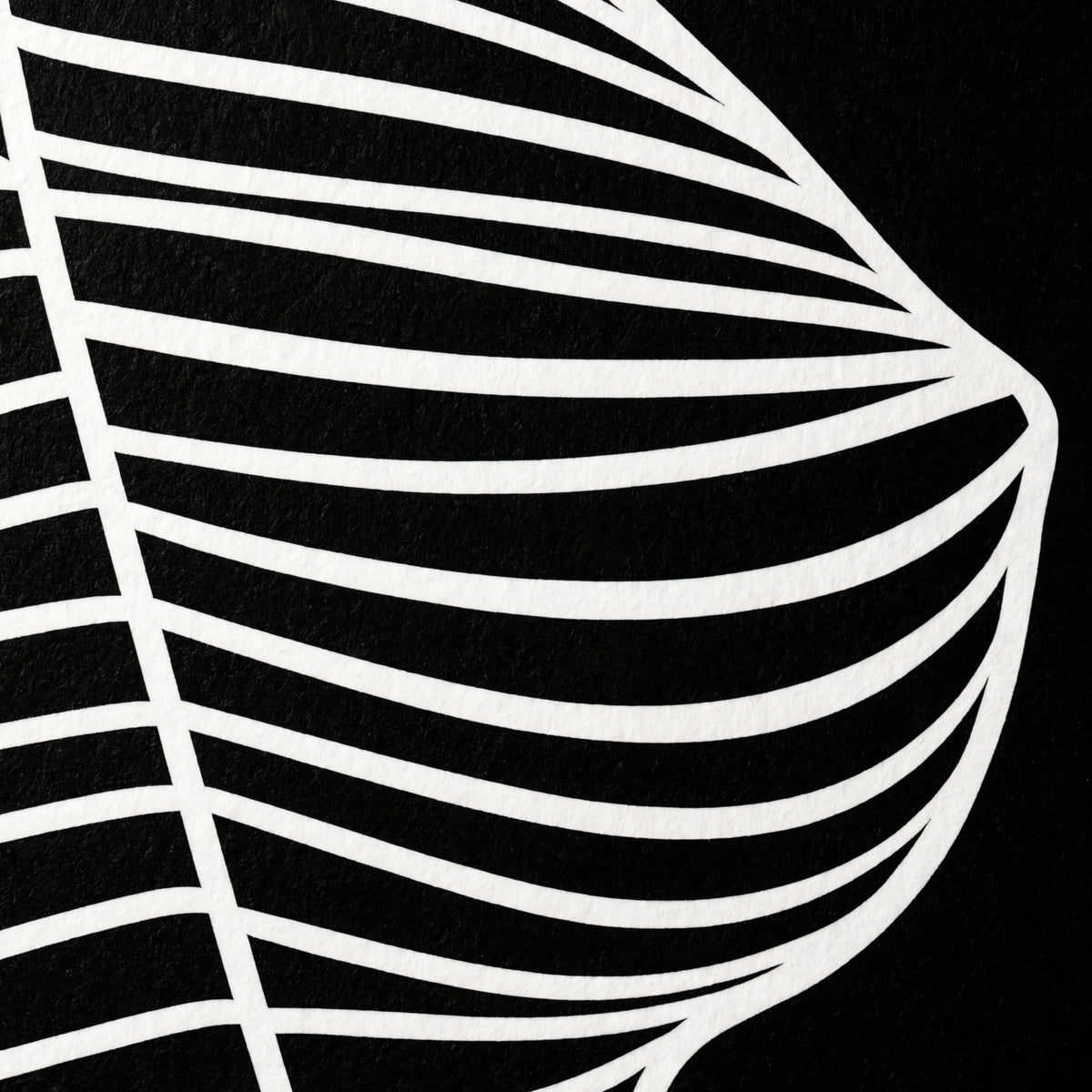 SILK | Minimalist Crouched Female Body Op Art | Luxury Multi-Print Wall Art | 1-Of-1