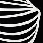 SILK | Minimalist Crouched Female Body Op Art | Luxury Multi-Print Wall Art | 1-Of-1