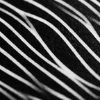 SINUOUS | Abstract Minimalist Female Body | B&W | 1-Of-1 | 72K | 16-Print Giclee Mural
