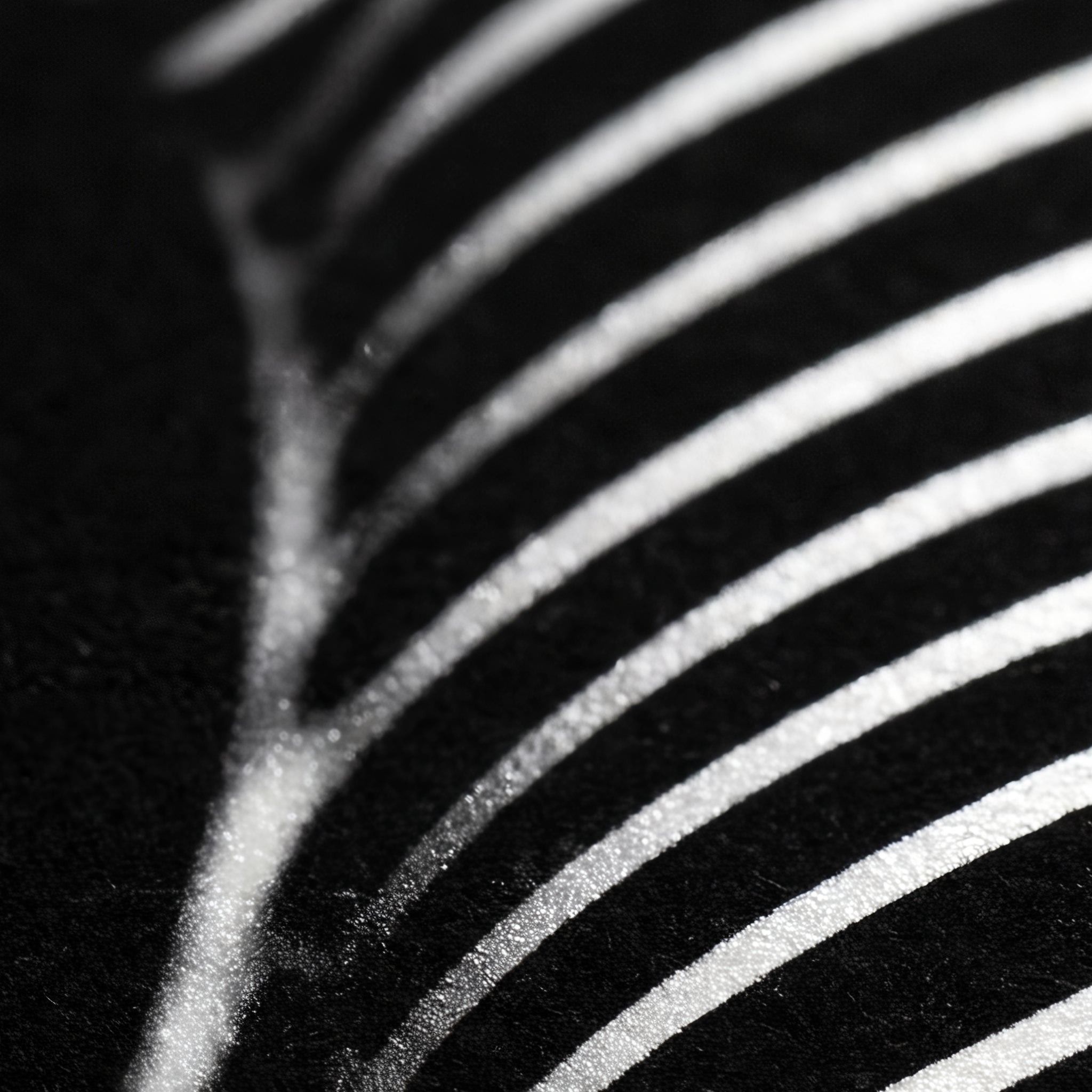SINUOUS | Abstract Minimalist Female Body | B&W | 1-Of-1 | 72K | 16-Print Giclee Mural