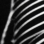 SINUOUS | Abstract Minimalist Female Body | B&W | 1-Of-1 | 72K | 16-Print Giclee Mural