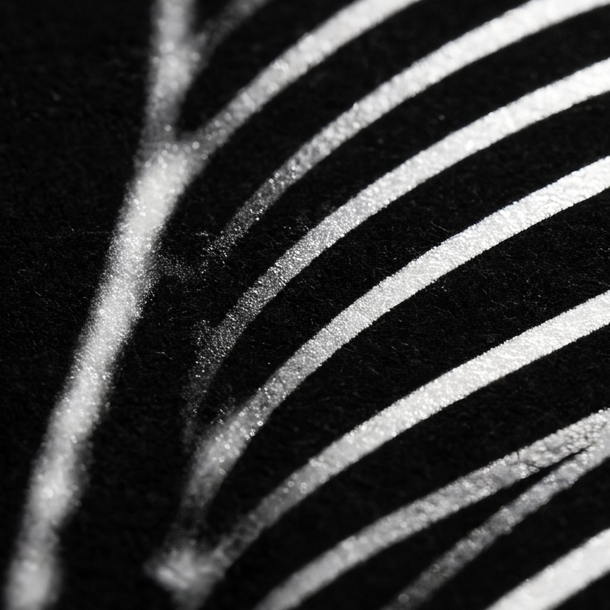 SINUOUS | Abstract Minimalist Female Body | B&W | 1-Of-1 | 72K | 16-Print Giclee Mural