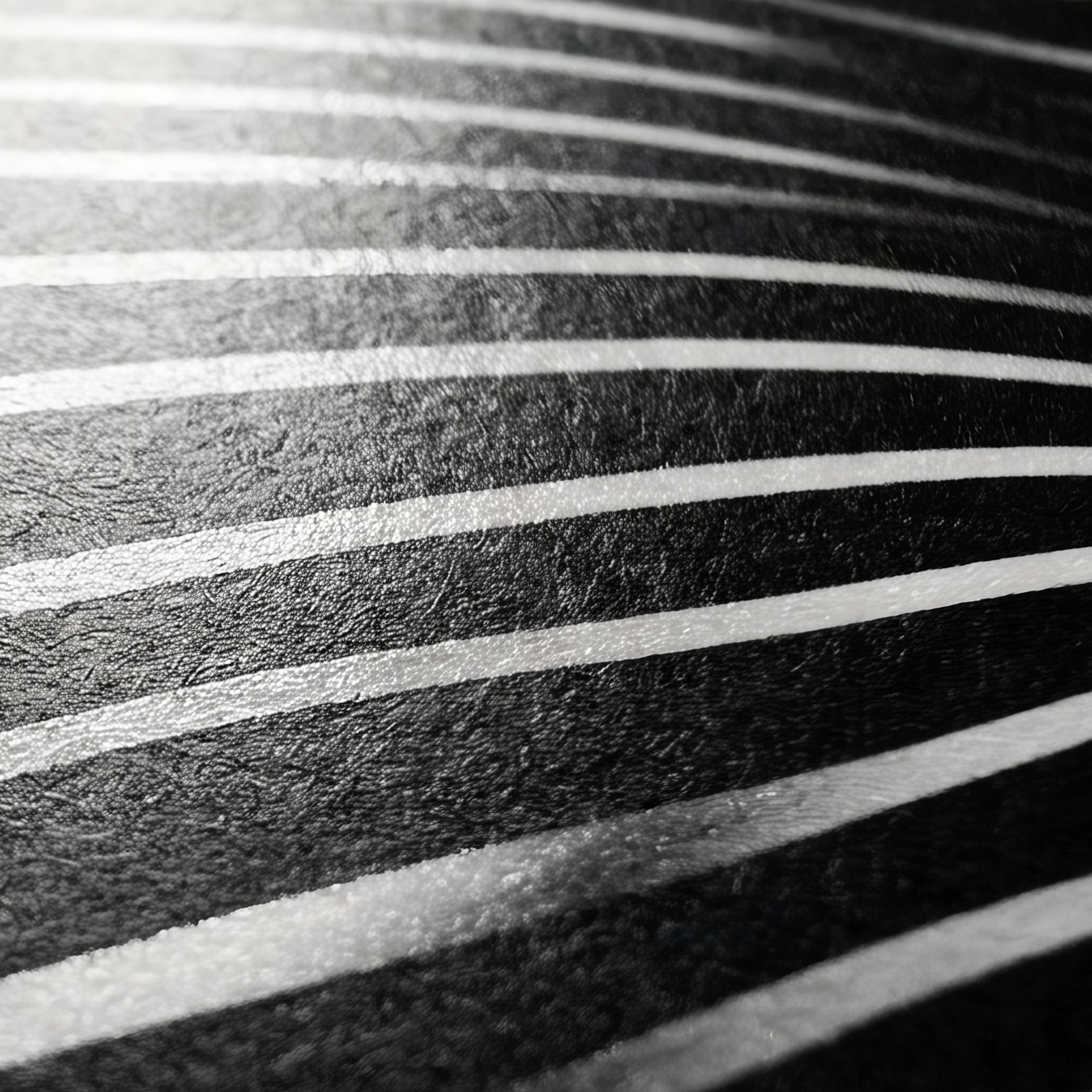 SINUOUS | Abstract Minimalist Female Body | B&W | 1-Of-1 | 72K | 16-Print Giclee Mural