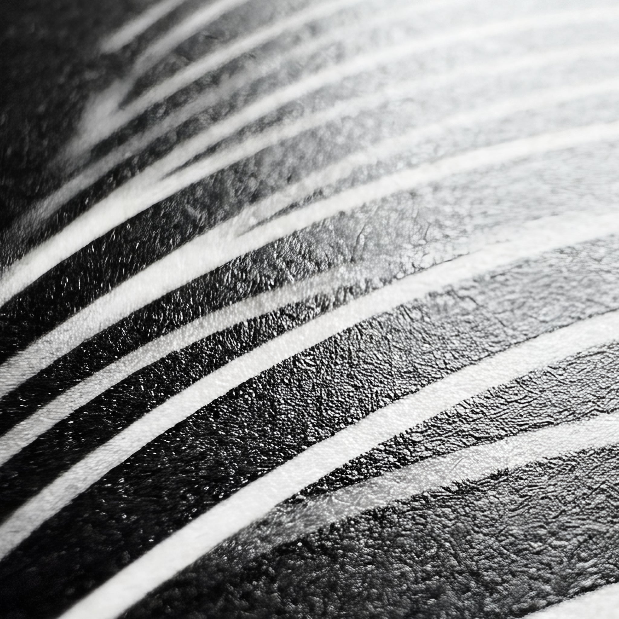 SINUOUS | Abstract Minimalist Female Body | B&W | 1-Of-1 | 72K | 16-Print Giclee Mural