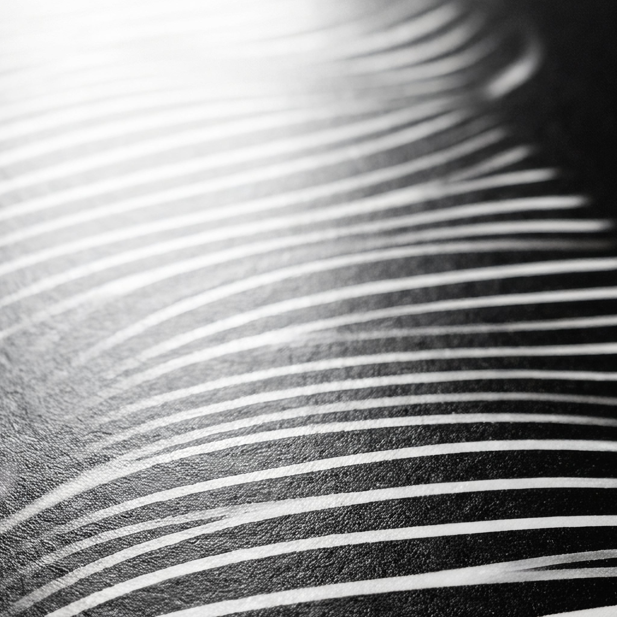 SINUOUS | Abstract Minimalist Female Body | B&W | 1-Of-1 | 72K | 16-Print Giclee Mural