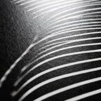 SINUOUS | Abstract Minimalist Female Body | B&W | 1-Of-1 | 72K | 16-Print Giclee Mural