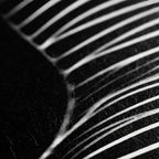 SINUOUS | Abstract Minimalist Female Body | B&W | 1-Of-1 | 72K | 16-Print Giclee Mural