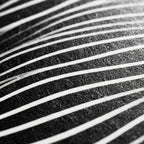 SINUOUS | Abstract Minimalist Female Body | B&W | 1-Of-1 | 72K | 16-Print Giclee Mural