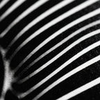 SINUOUS | Abstract Minimalist Female Body | B&W | 1-Of-1 | 72K | 16-Print Giclee Mural