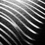SINUOUS | Abstract Minimalist Female Body | B&W | 1-Of-1 | 72K | 16-Print Giclee Mural