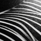 SINUOUS | Abstract Minimalist Female Body | B&W | 1-Of-1 | 72K | 16-Print Giclee Mural
