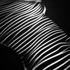 SINUOUS | Abstract Female Body Silhouette | Luxury Multi-Print Wall Art | 1-Of-1