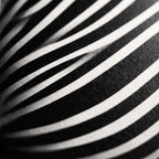 SUITE | Minimalist Seated Female Figure Op Art Print | B&W Abstract Luxury Wall Art