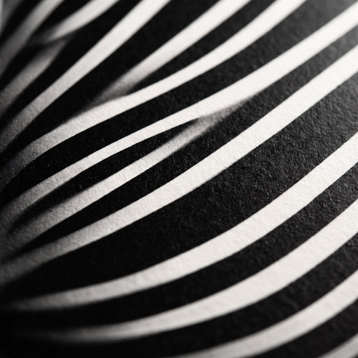 SUITE | Minimalist Seated Female Figure Op Art Print | B&W Abstract Luxury Wall Art