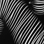 SUITE | Minimalist Seated Female Figure Op Art Print | B&W Abstract Luxury Wall Art
