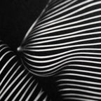 SUITE | Minimalist Seated Female Figure Op Art | Abstract Luxury Multi-Print Wall Art