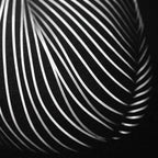 SUITE | Minimalist Seated Female Figure Op Art | Abstract Luxury Multi-Print Wall Art