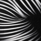 SUITE | Minimalist Seated Female Figure Op Art Print | B&W Abstract Luxury Wall Art