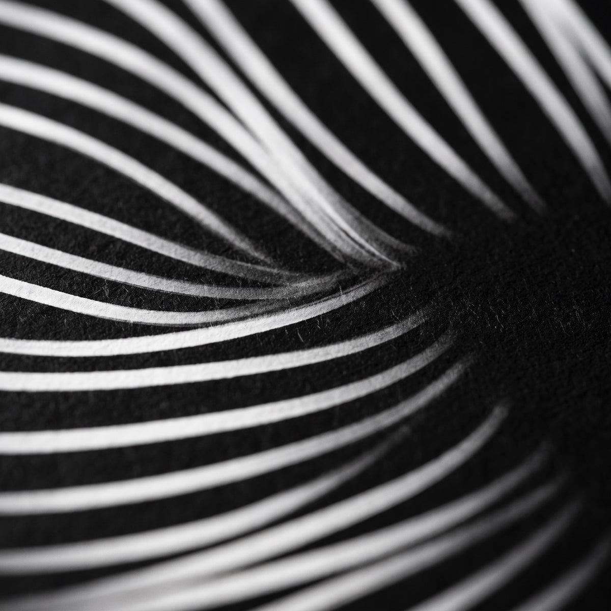 SUITE | Minimalist Seated Female Figure Op Art | Abstract Luxury Multi-Print Wall Art