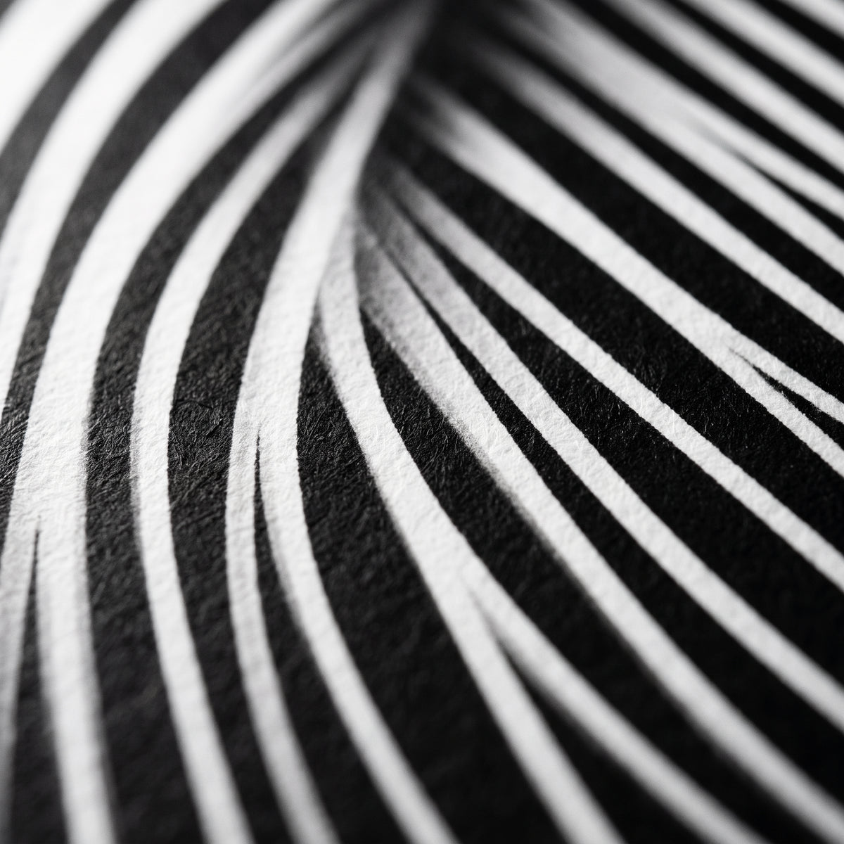 SUITE | Minimalist Seated Female Figure Op Art Print | B&W Abstract Luxury Wall Art