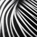 SUITE | Minimalist Seated Female Figure Op Art | Abstract Luxury Multi-Print Wall Art