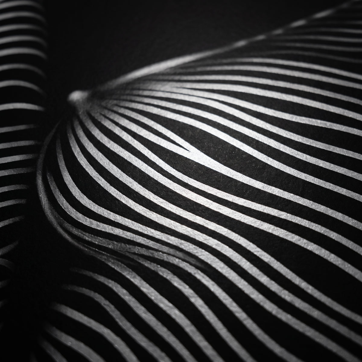 SUITE | Minimalist Seated Female Figure Op Art | Abstract Luxury Multi-Print Wall Art