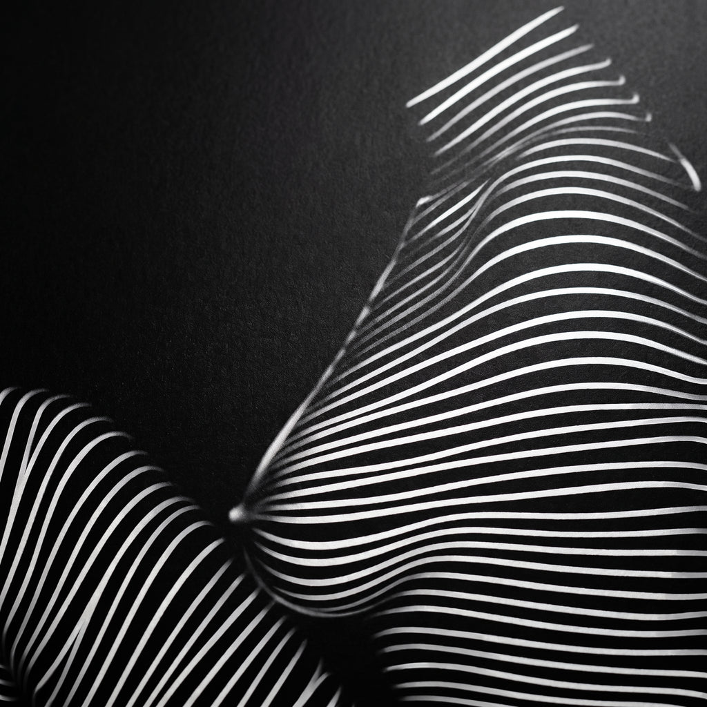 SUITE | Minimalist Seated Female Figure Op Art | Abstract Luxury Multi-Print Wall Art