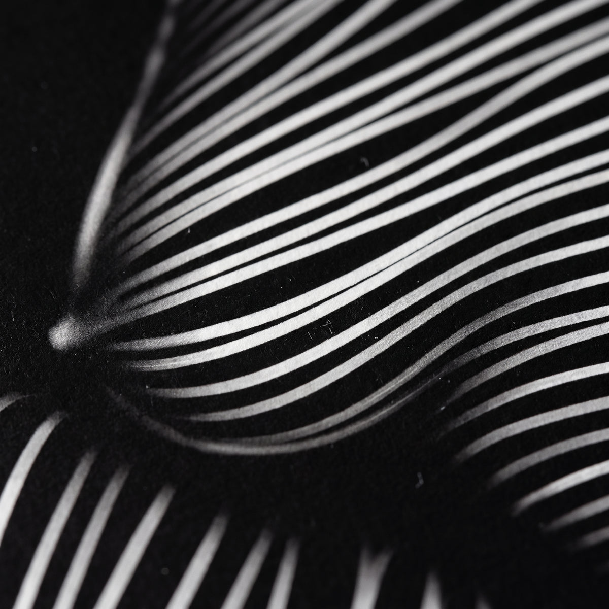 SUITE | Minimalist Seated Female Figure Op Art | Abstract Luxury Multi-Print Wall Art