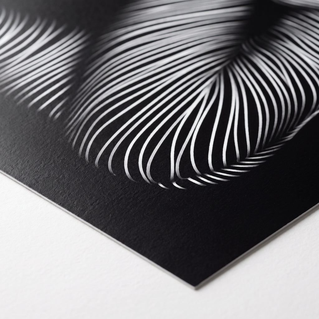 SUITE | Minimalist Seated Female Figure Op Art Print | B&W Abstract Luxury Wall Art
