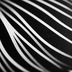 SUITE | Minimalist Seated Female Figure Op Art Print | B&W Abstract Luxury Wall Art