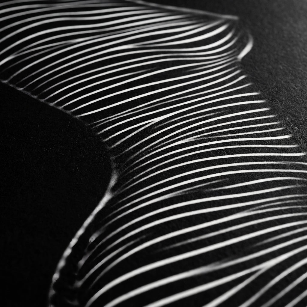 SINUOUS | Abstract Female Body Silhouette | Luxury Multi-Print Wall Art | 1-Of-1